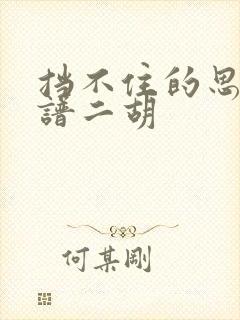 挡不住的思念简谱二胡