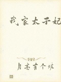 我家太子妃超凶