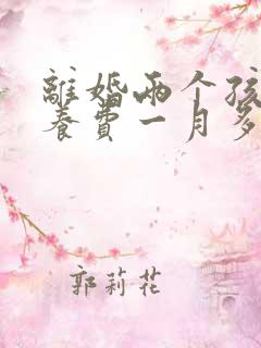 离婚两个孩子抚养费一月多少钱