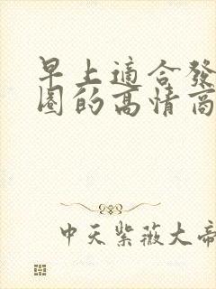 早上适合发朋友圈的高情商句子