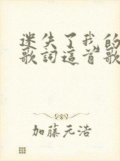 迷失了我的眼睛歌词这首歌名叫啥