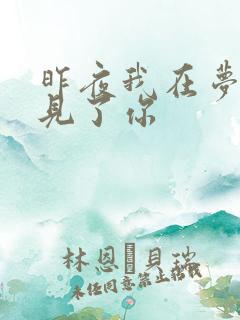 昨夜我在梦中遇见了你
