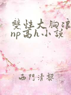 双性大胸浪荡受np高h小说