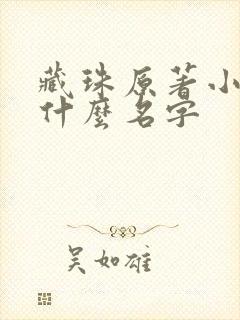 藏珠原著小说叫什么名字