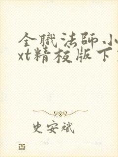 全职法师小说txt精校版下载