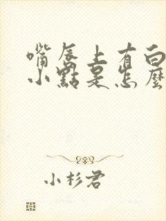 嘴唇上有白色的小点是怎么回事