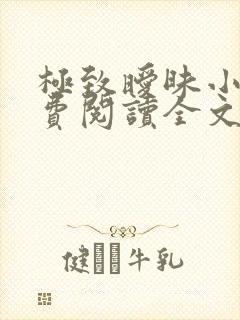 极致暧昧小说免费阅读全文小说主人公