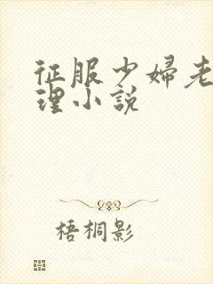 征服少妇老师伦理小说