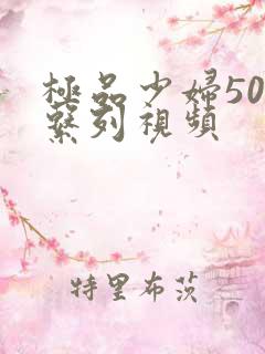 极品少妇500系列视频
