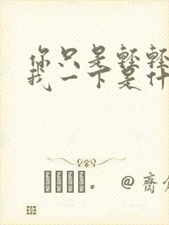 你只是轻轻爱了我一下是什么歌