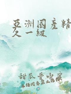 亚洲国产精品久久一级