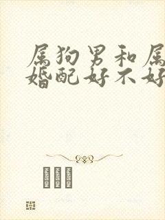 属狗男和属牛女婚配好不好