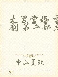 大男当婚 电视剧 第二部免费