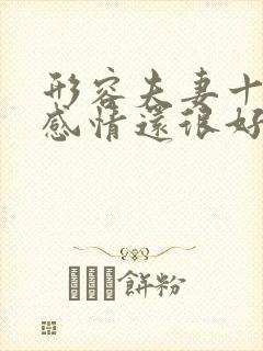 形容夫妻十几年感情还很好的句子