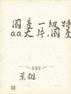 国产一级特黄aaa大片,国产一级特黄