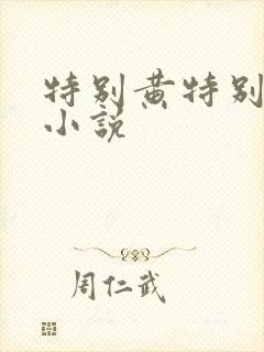特别黄特别肉的小说
