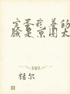 完蛋我养的小白脸是京圈太子爷短剧