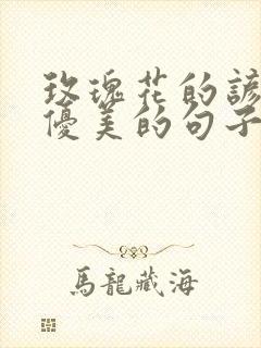 玫瑰花的谚语和优美的句子