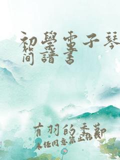 初学电子琴入门简谱书