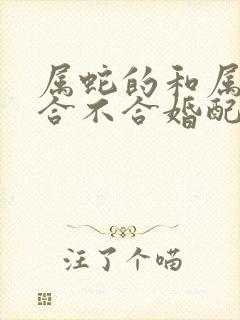 属蛇的和属兔的合不合婚配