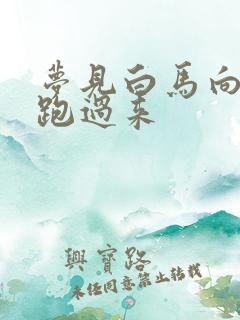 梦见白马向我奔跑过来