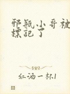 邪瓶小哥被吴邪标记了