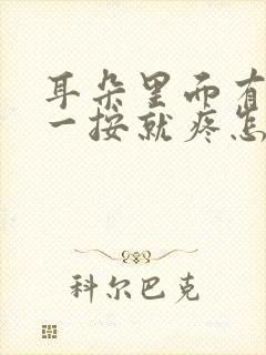 耳朵里面有个包一按就疼怎么办