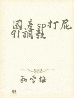 国产sp打屁股91调教