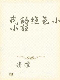 我的绝色小姨 小说