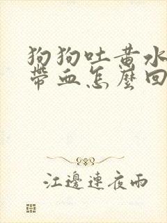 狗狗吐黄水拉稀带血怎么回事