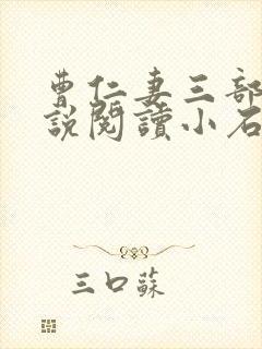 曹仁妻三部曲小说阅读小石