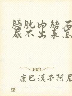 膀胱内结石小便尿不出来怎么办