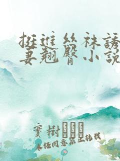 挺进丝袜诱惑人妻翘臀小说