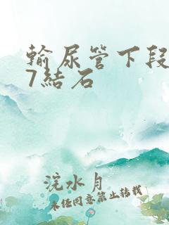 输尿管下段0.7结石