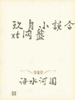 玖月小说合集txt网盘