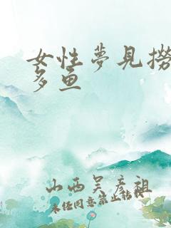 女性梦见捞了好多鱼