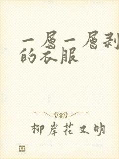 一层一层剥掉你的衣服