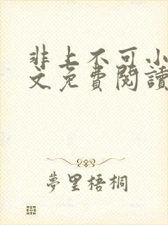 非上不可小说全文免费阅读