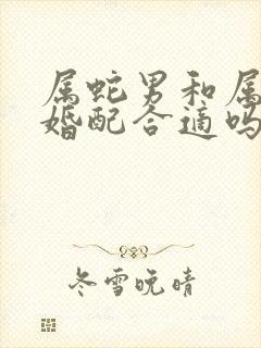 属蛇男和属牛女婚配合适吗?