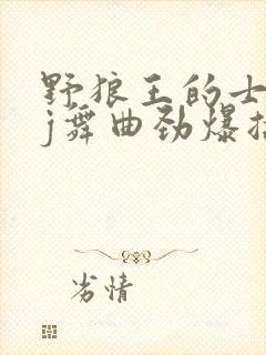 野狼王的士高dj舞曲劲爆摇头