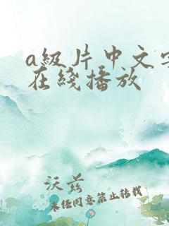a级片中文字幕在线播放