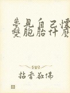 梦见自己怀孕了双胞胎什么预兆