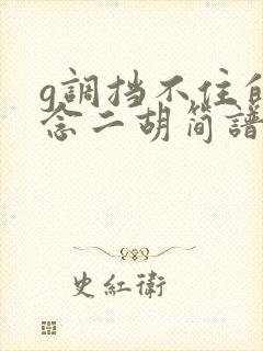 g调挡不住的思念二胡简谱