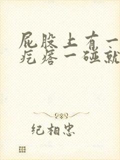 屁股上有一个硬疙瘩一碰就痛