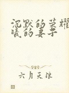 沉默的荣耀里聂曦的妻子