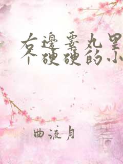 右边睾丸里面有个硬硬的小疙瘩