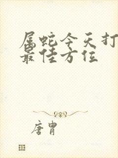 属蛇今天打牌的最佳方位