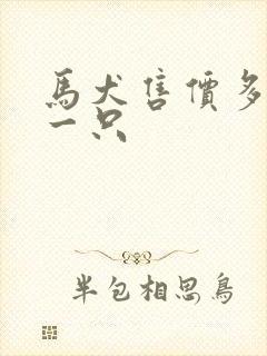 马犬售价多少钱一只