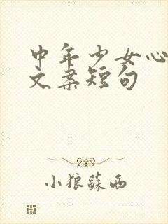 中年少女心最火文案短句