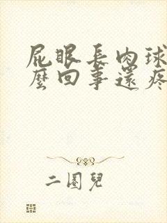 屁眼长肉球是怎么回事还疼